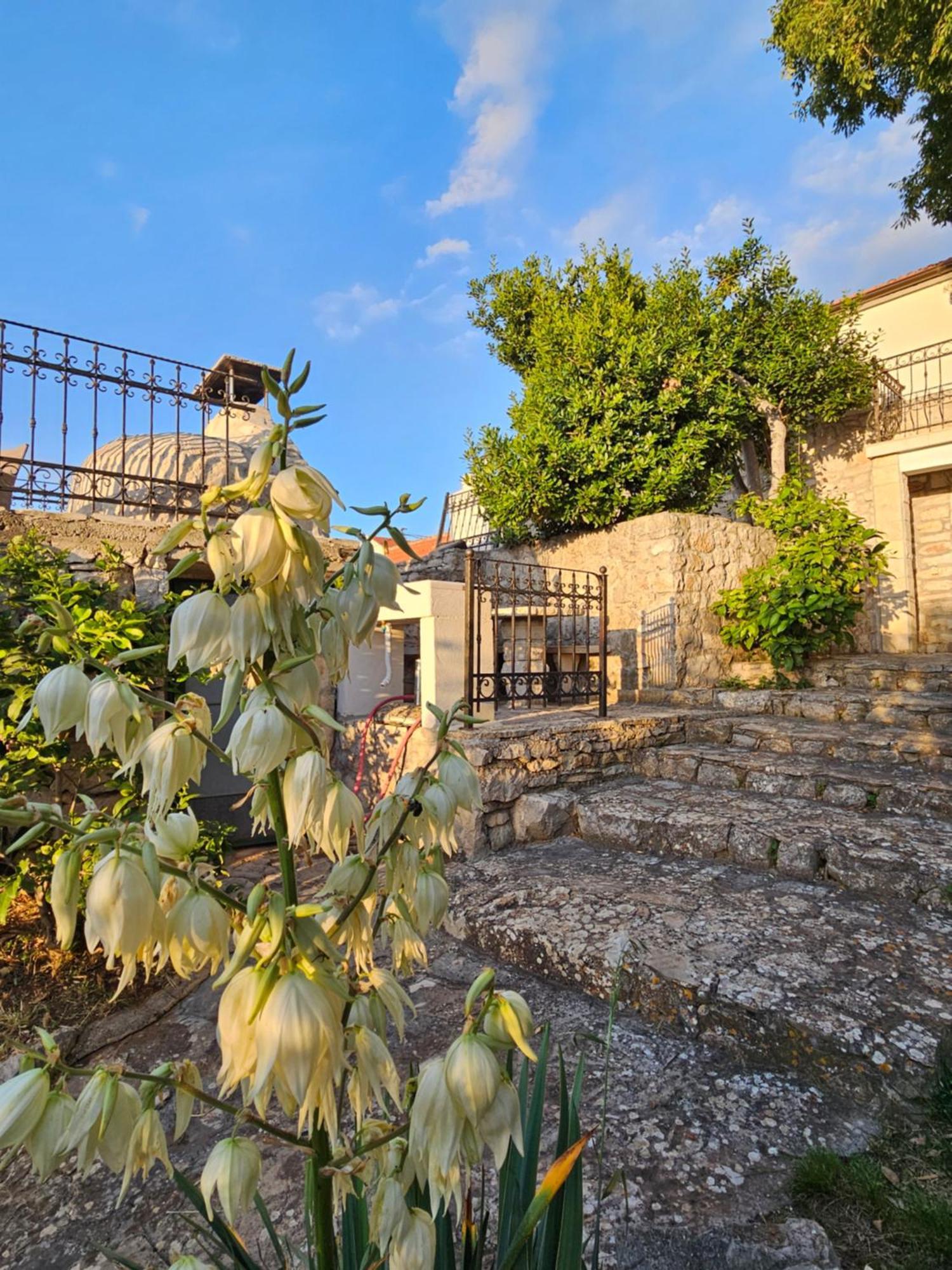 Authentic House Pelegrinka Villa Mali Drvenik Dış mekan fotoğraf